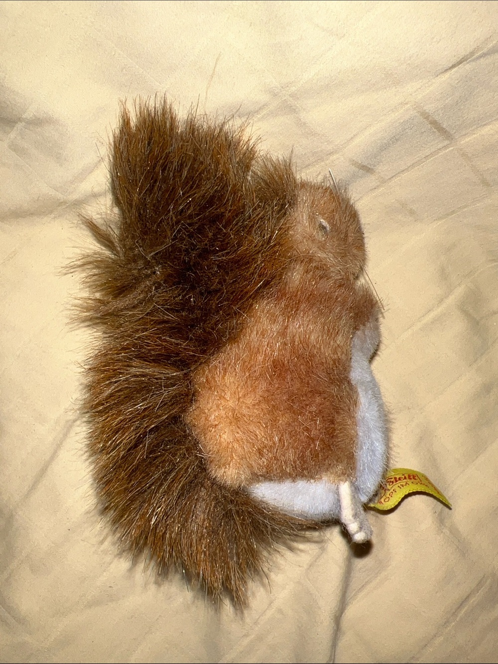 Steiff Squirrel - Picture 4 of 14
